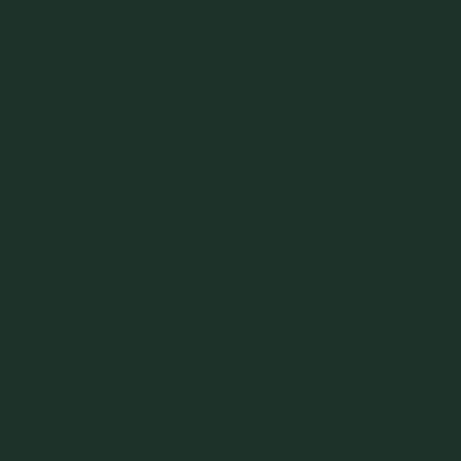 PAL melaminat Egger U699 ST9 Verde brad, 2800 x 2070 x 18 mm